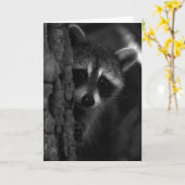 Carte Raccoon de Peek-a-Boo (Fleur jaune)