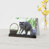 Carte Raccoon et Cookie Jar (Fleur jaune)