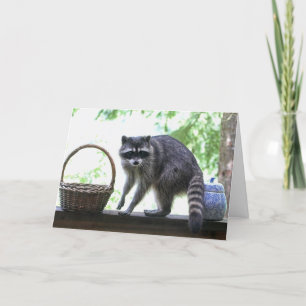 Carte Raccoon et Cookie Jar