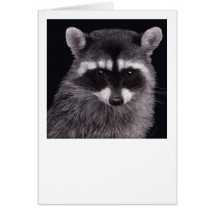 Carte Raccoon "Hooligan"