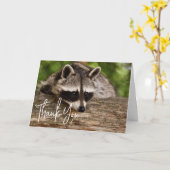 Carte Raccoon mignon reposant sur un Merci de journal (Fleur jaune)