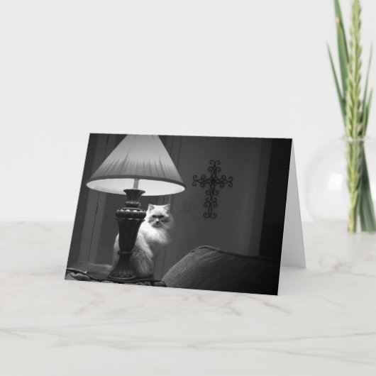 Carte Ragdoll (Devant)