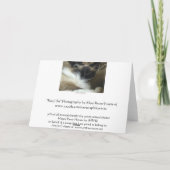 Carte Ragdoll Birman Cat (Dos)