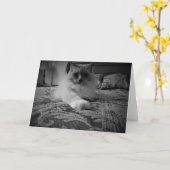 Carte Ragdoll Cat / Noir card (Fleur jaune)