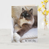 Carte Ragdoll Chat Se Bien Bientôt (Fleur jaune)