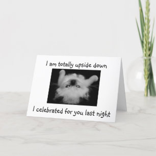 CARTE RAGDOLL KITTEN A TOTALEMENT PARTICIPÉ À 21E ANNIVE