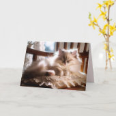 Carte Ragdoll Kitten Dormir Se Bien Bientôt (Fleur jaune)