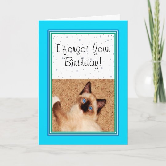 Carte Ragdoll Kitten Joyeux Anniversaire Belge Zazzle Be