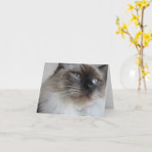 Carte Ragdoll Kitty (Fleur jaune)