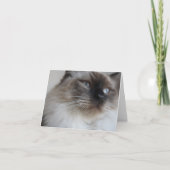 Carte Ragdoll Kitty (Devant)