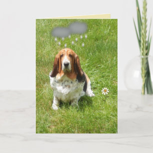 Carte Rain On Funny Birthday Card