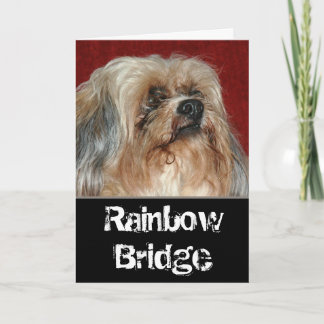 Carte Rainbow Bridge - mon pote