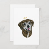 Carte Rainbow Chien Sympathy Card (Devant / Derrière)