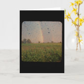 Carte Rainbow TTV (Fleur jaune)