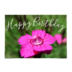 Carte Raindrop Pink Dianthus "Joyeux anniversaire"