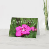 Carte Raindrop Pink Dianthus "Joyeux anniversaire" (Devant)