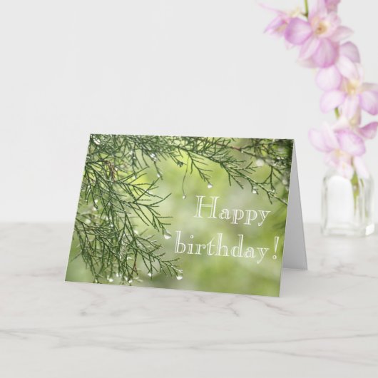 Carte Raindrys sur Pine Birthday Card (Orchidée)