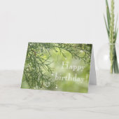Carte Raindrys sur Pine Birthday Card (Devant)