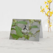 Carte Raisin à long queue, oiseau de jardin écossais. (Fleur jaune)