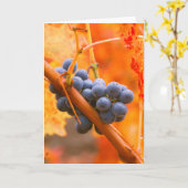Carte Raisin Ripe Dans Le Vignoble (Fleur jaune)