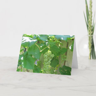 Carte Raisins blancs doux et juteux