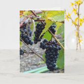Carte Raisins dans une cave (Fleur jaune)