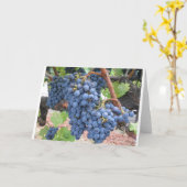 Carte Raisins de Napa Valley (Fleur jaune)