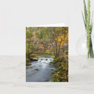 Carte Ralentir Dans L'Allée