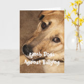 Carte Ranch Dogs (Fleur jaune)