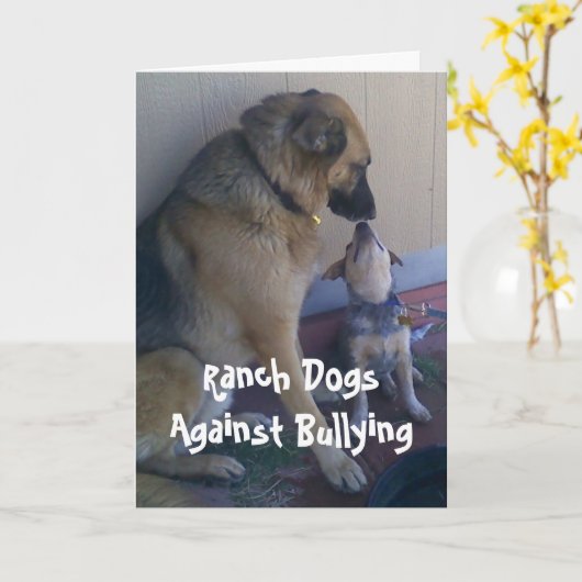 Carte Ranch Dogs (Fleur jaune)