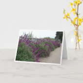 Carte Rangée pourpre (Fleur jaune)