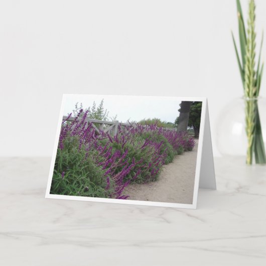 Carte Rangée pourpre (Devant)