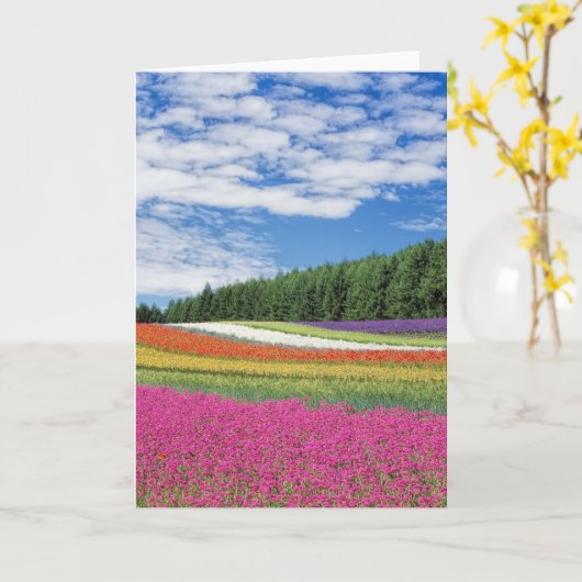 Carte Rangées de fleurs de champ d'été (Fleur jaune)