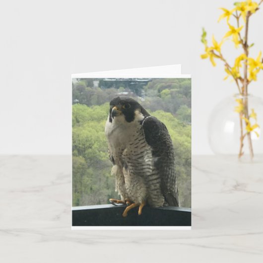 Carte rapace (Fleur jaune)