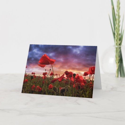 Carte Rappel | Champ de pavots (Devant)