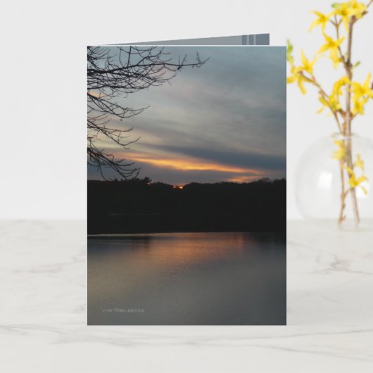 Carte Ra's Setting Sun (Fleur jaune)