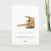 Carte Rasberry Dog (Dos)