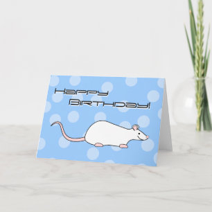 Carte Rat blanc animal. Anniversaire