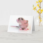Carte Rat de Gobi de bébé (Fleur jaune)