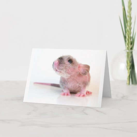 Carte Rat de Gobi de bébé (Devant)