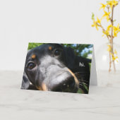 Carte rater (Fleur jaune)