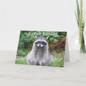 Carte Raton laveur mignon posant pour un anniversaire dr (Devant)