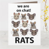 Carte Rats Animal Nous Sommes Sur Conversation Rats Drôl (Fleur jaune)