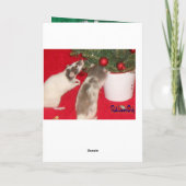 Carte : Rats de Noël (Dos)
