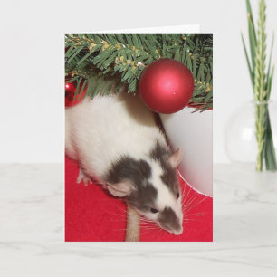 Carte : Rats de Noël