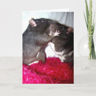Carte Rattie Kisses
