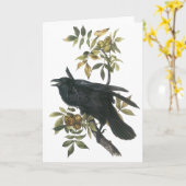 Carte Raven commun, audubon de John (Fleur jaune)