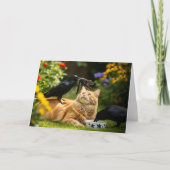 Carte Ravens Jouer Avec Plumes de chat Amis (Devant)