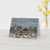 Carte Raviers de la côte atlantique : Baie Delaware (Fleur jaune)