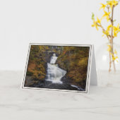 Carte Raymondskill Falls à l'automne 2018 (Fleur jaune)